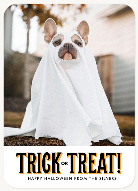 Big Treat Halloween Cards