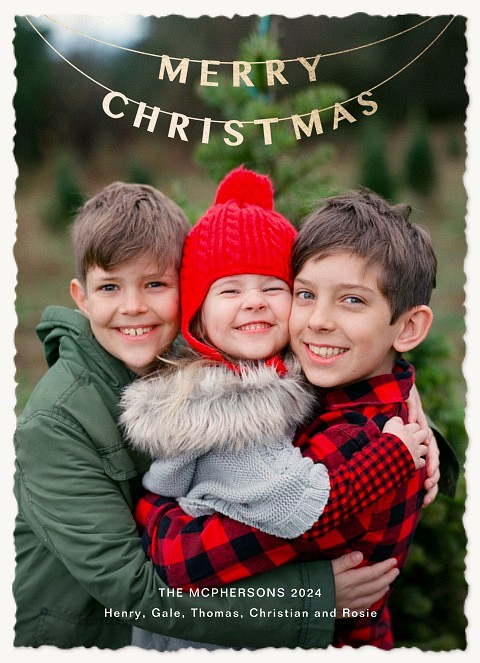 Holiday Banner Personalized Holiday Cards