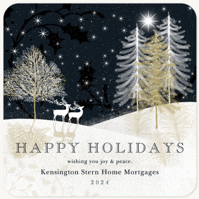 Wintry Night Business Holiday Cards