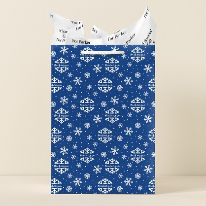 Elegant Snowflake Gift Bag