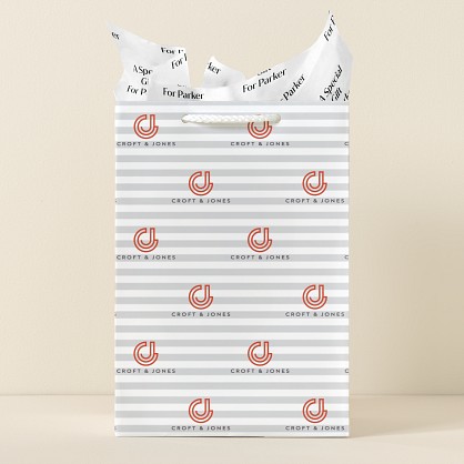 Silver Stripes Gift Bag