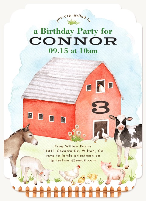 Barnyard Friends Kids Birthday Invitations