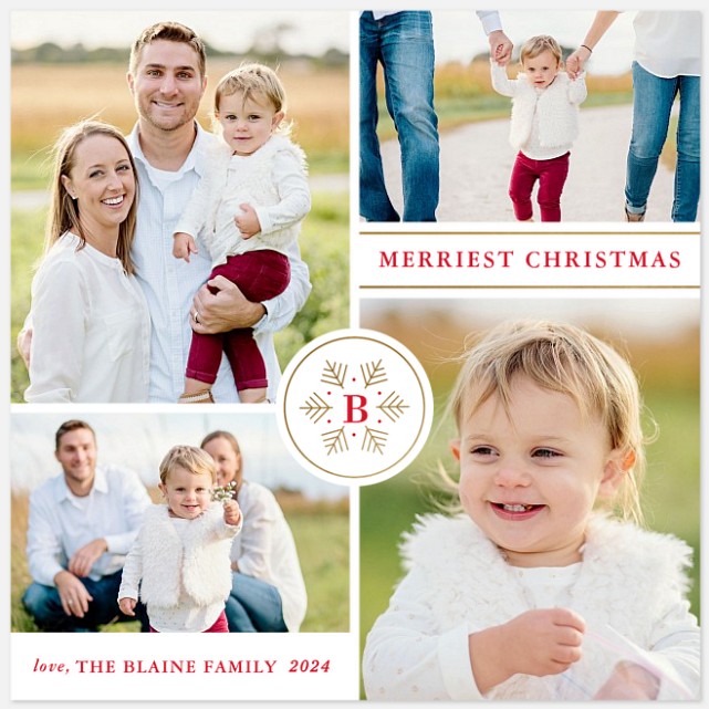 Snowflake Seal Holiday Photo Cards