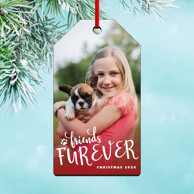 Furever Friends Custom Ornaments