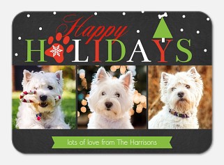 Holiday Pup 