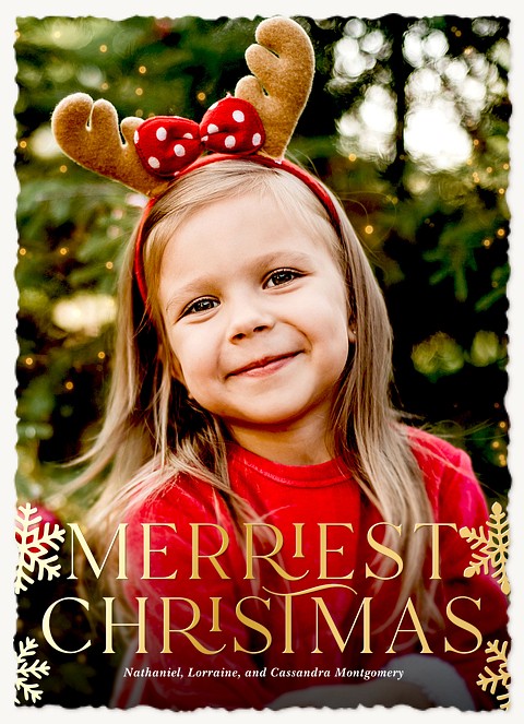 Classic Snowfall Personalized Holiday Cards