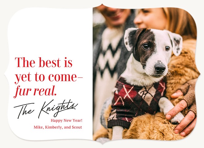 Fur Real Personalized Holiday Cards