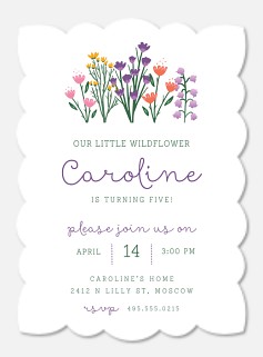 Our Wildflower