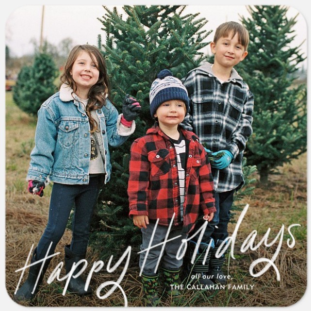 Breezy Greetings Holiday Photo Cards