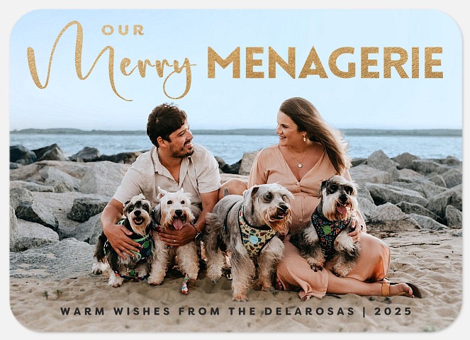 Merry Menagerie Holiday Photo Cards