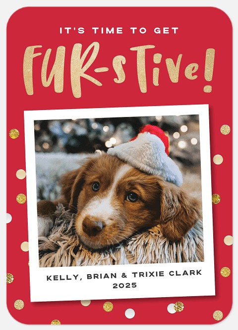 Furstive Holiday Photo Cards