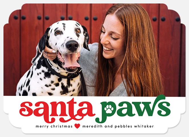 Warm & Furry Wishes Holiday Photo Cards
