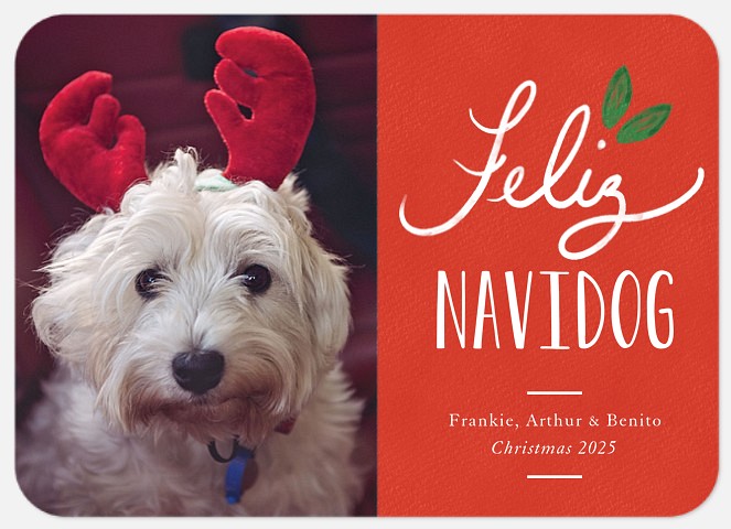 Feliz Holly Holiday Photo Cards