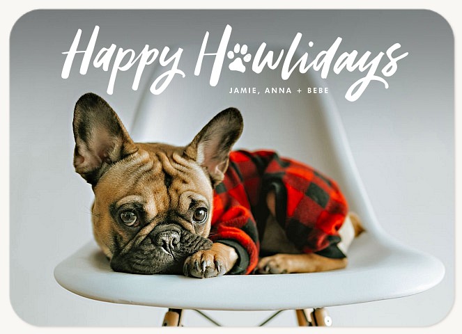 Happy Howlidays Personalized Holiday Cards