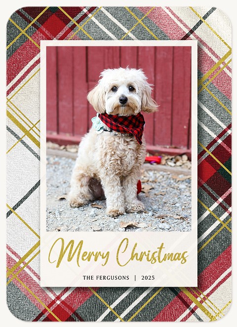 Plaid Snapshot Personalized Holiday Cards