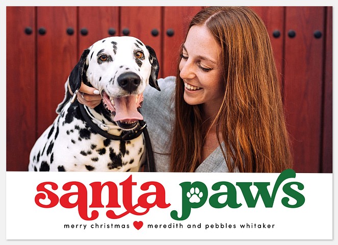 Warm & Furry Wishes Holiday Photo Cards