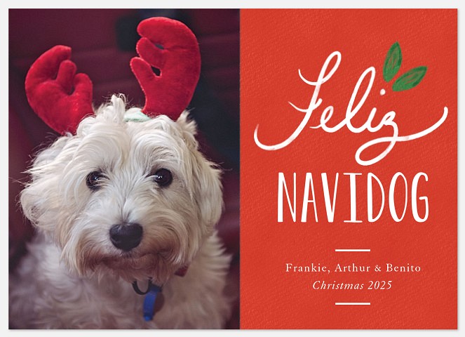 Feliz Holly Holiday Photo Cards