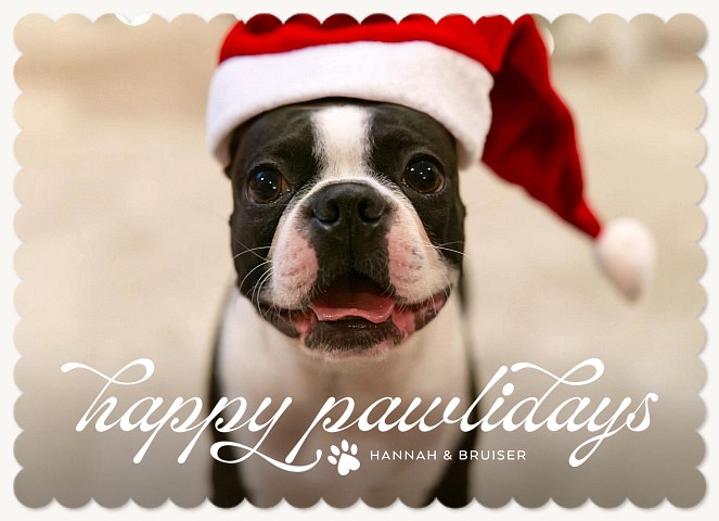 Happy Pawlidays Personalized Holiday Cards