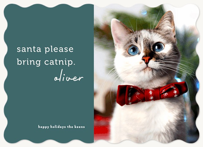 Cat Wish Personalized Holiday Cards