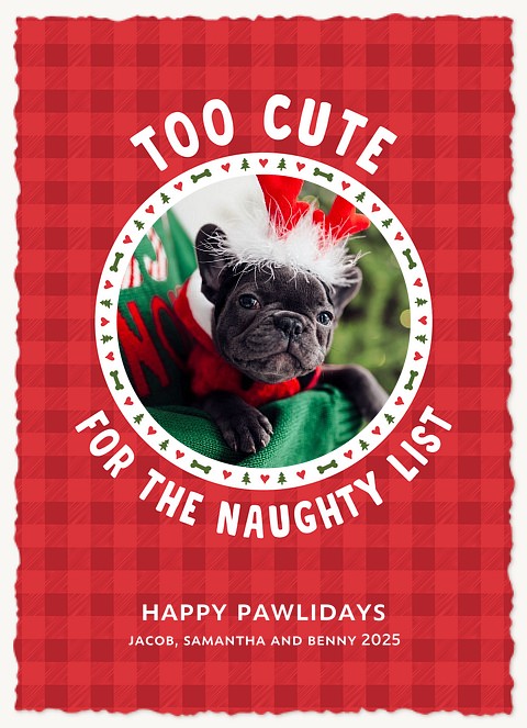 Not Naughty Personalized Holiday Cards