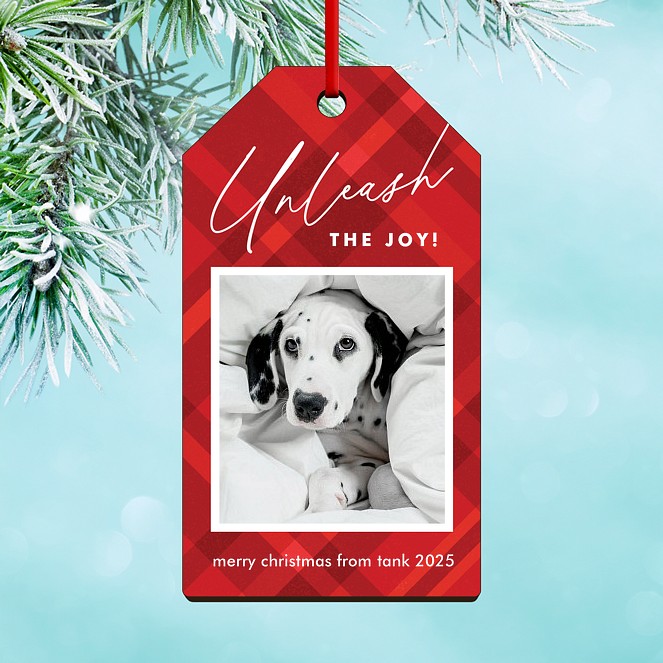Joy Unleashed Custom Ornaments