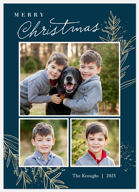 Frosted Boughs Holiday Photo Cards