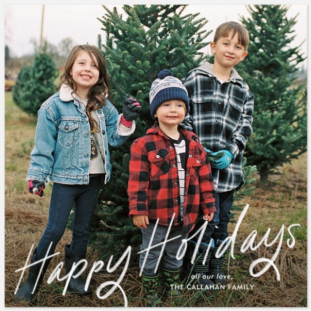 Breezy Greetings Holiday Photo Cards