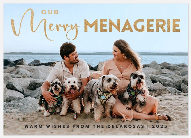 Merry Menagerie Holiday Photo Cards