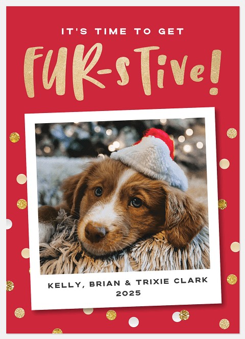 Furstive Holiday Photo Cards