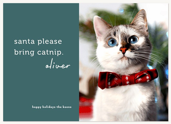 Cat Wish Personalized Holiday Cards