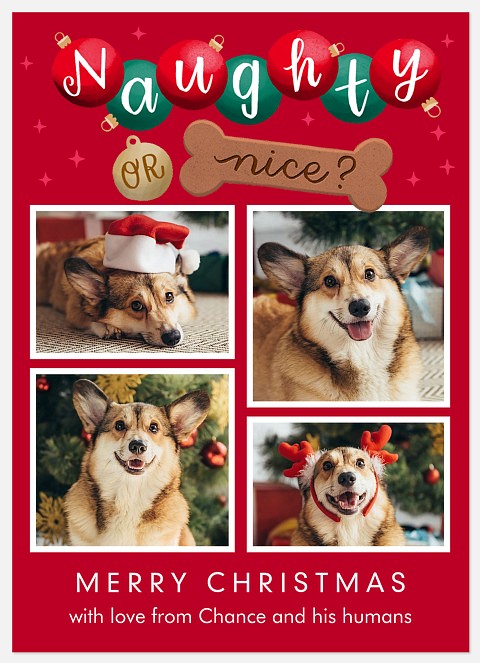 Naughty or Nice Holiday Photo Cards