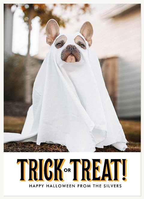 Big Treat Halloween Cards