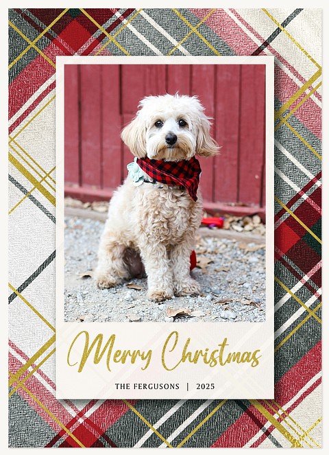 Plaid Snapshot Personalized Holiday Cards
