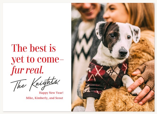 Fur Real Personalized Holiday Cards
