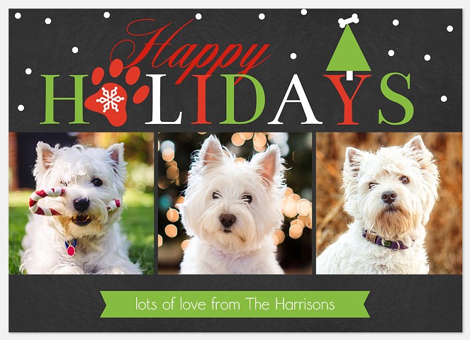 Holiday Pup  Holiday Photo Cards