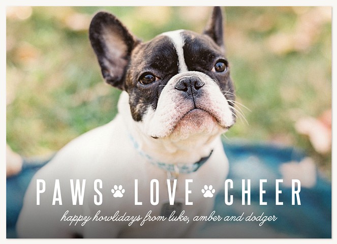 Cheerful Paws Photo Holiday Cards