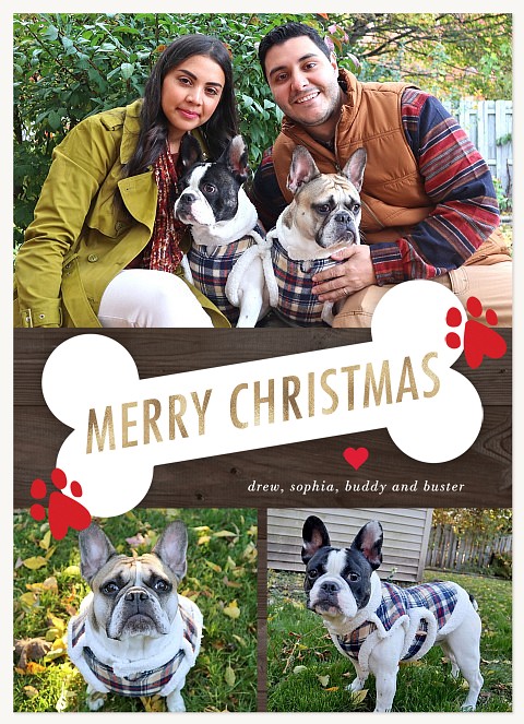 Christmas Bone Christmas Cards