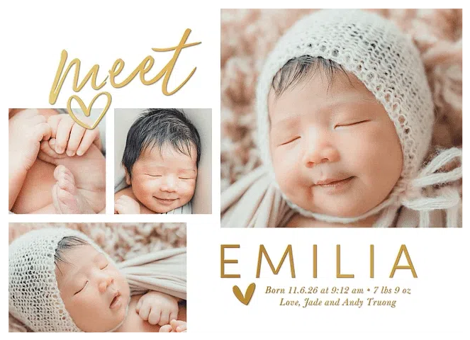 Sweet Introduction Baby Announcements