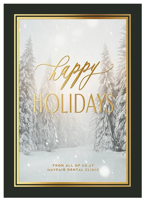 Eloquent Frame Business Holiday Cards