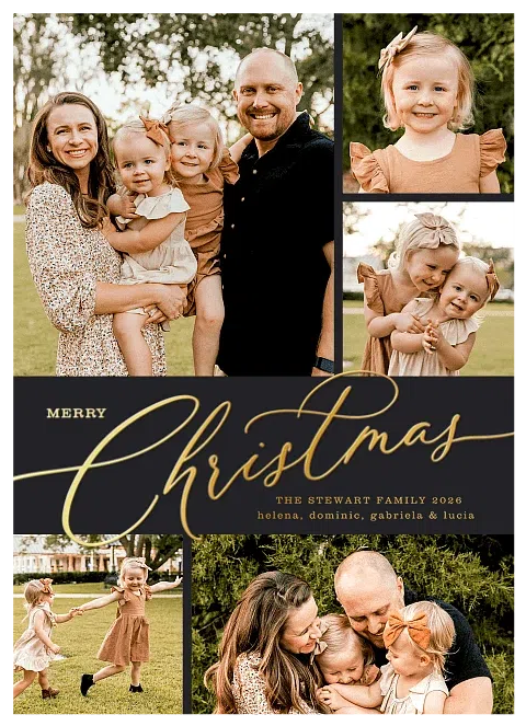 Modern Sophistication Personalized Holiday Cards