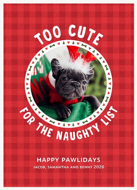 Not Naughty Personalized Holiday Cards