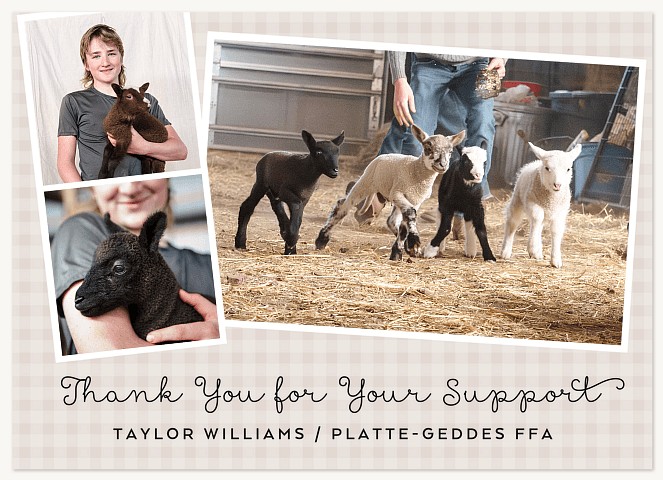 Gingham Plaid Thank You Cards 
