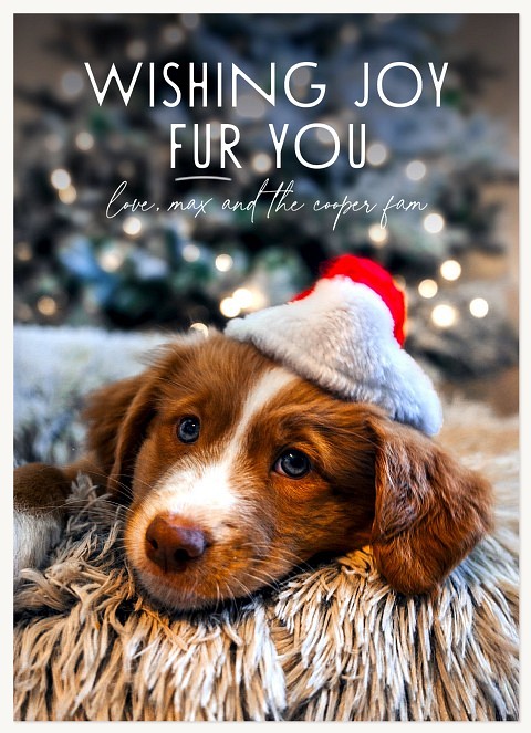 Joy Fur You Personalized Holiday Cards