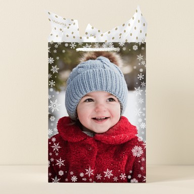 Winter Magic Gift Bag