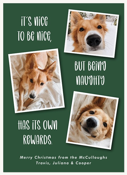 Naughty and Nice Photo Holiday Cards