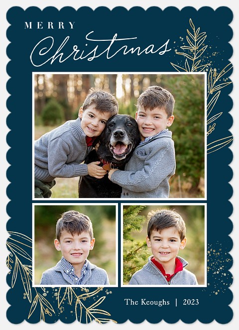 Frosted Boughs Holiday Photo Cards