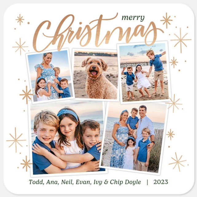 Snow Collage Holiday Photo Cards