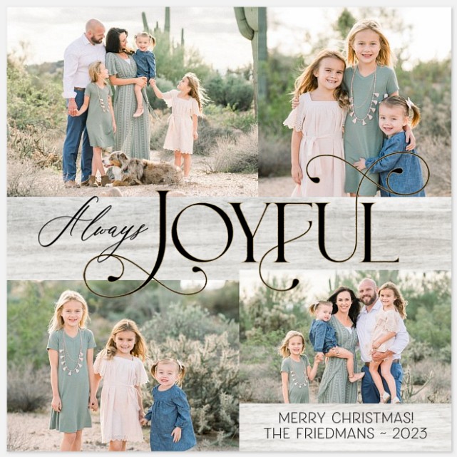Delicate Wish Holiday Photo Cards