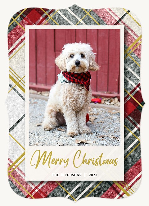 Plaid Snapshot Personalized Holiday Cards