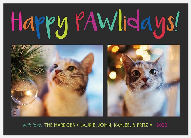 Multicolored Pawlidays Holiday Photo Cards